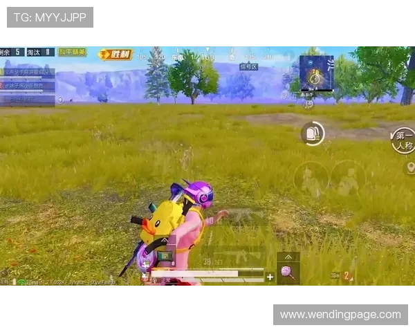 问鼎游戏娱乐平台ios安全可靠客户服务优质，全天候守护你的游戏体验