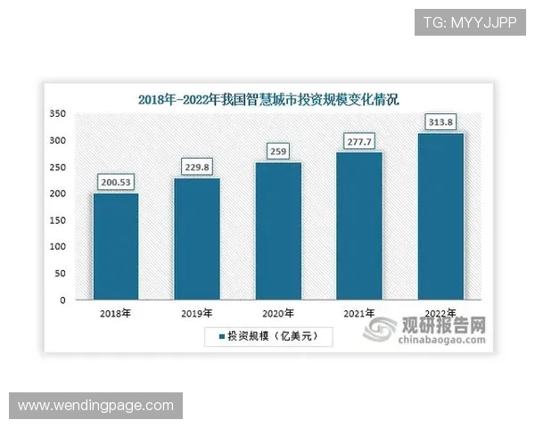 问鼎网页登录入口的最新动态与未来发展趋势